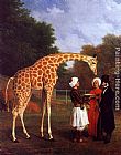 Jacques-laurent Agasse Canvas Paintings - The Nubian Giraffe